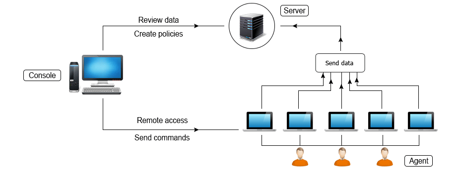 Basic IT Structure