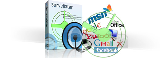 SurveilStar Basic IT Structure