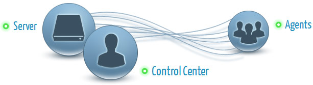 IT structure of SurveilStar Web Monitor